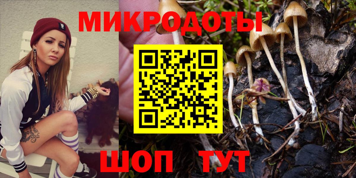 Псилоцибиновые грибы мицелий Пугачёв