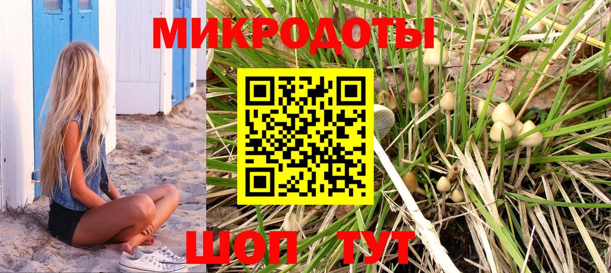 купить закладку  Псилоцибиновые грибы Cubensis  Вход с VPN  Пугачёв 